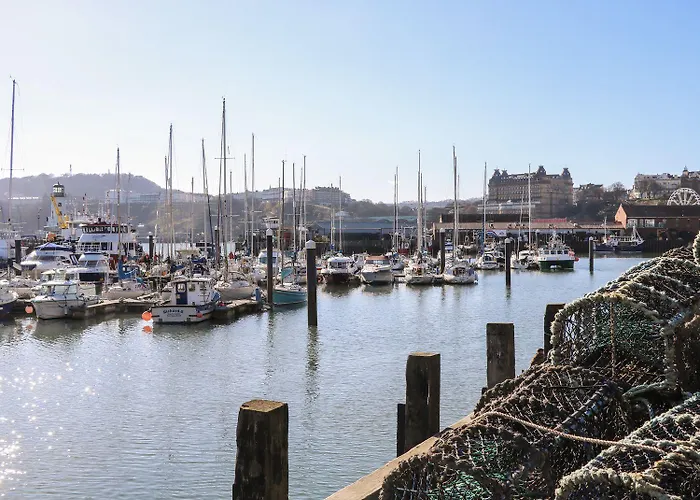 The Lookout * Scarborough