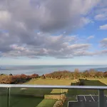 The Lookout * سكرابورو